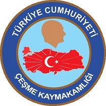 Partner 2
